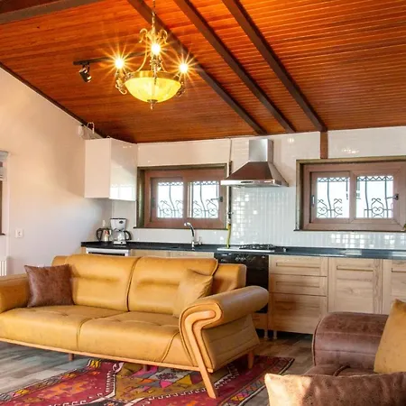 Flat W Fireplace Terrace 3 Min To In Urla Apartment Izmir